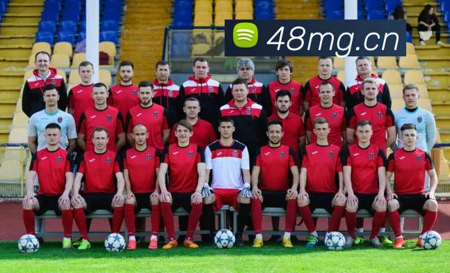 开云官网平台生态图