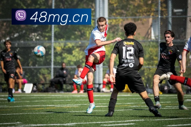 开云官网APP 封面图