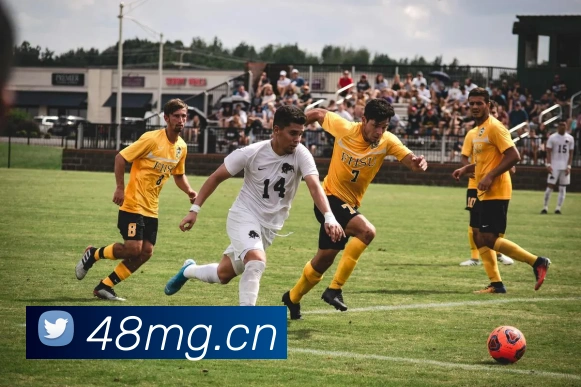 数据防护可视化